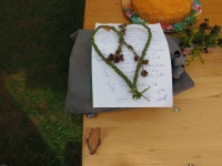 2017-07-15 09.44.17.jpg